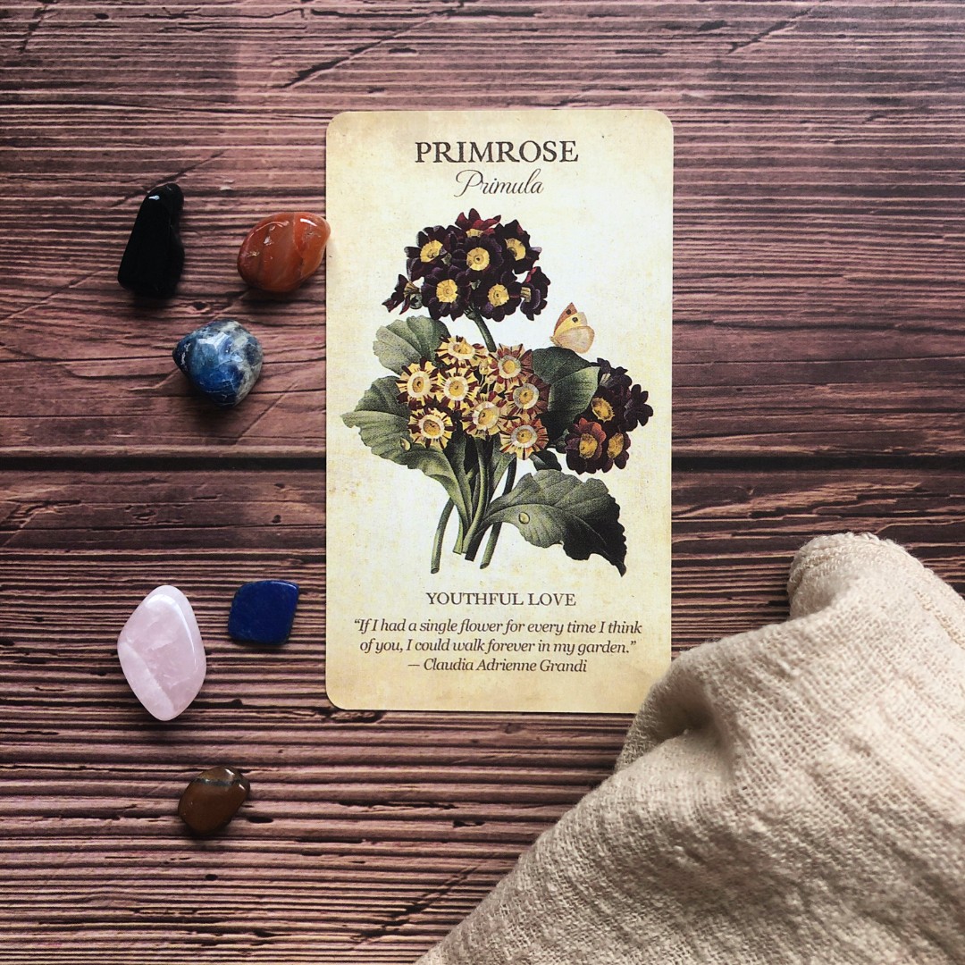 Spirit Guides and Angel Readings